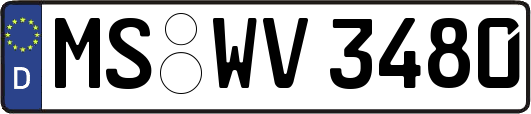MS-WV3480