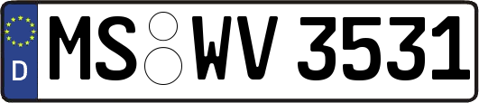 MS-WV3531