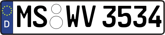 MS-WV3534