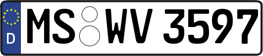 MS-WV3597