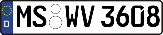 MS-WV3608