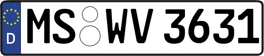 MS-WV3631