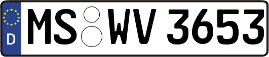 MS-WV3653