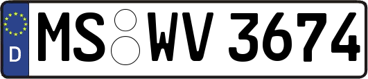 MS-WV3674