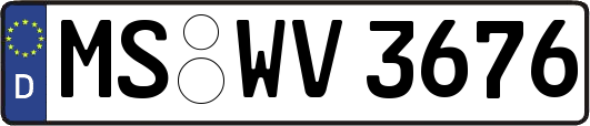 MS-WV3676