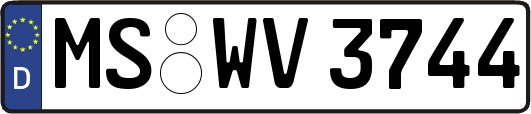 MS-WV3744