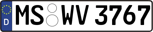 MS-WV3767