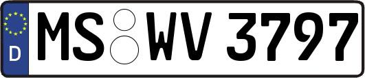 MS-WV3797