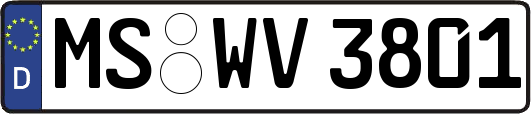 MS-WV3801