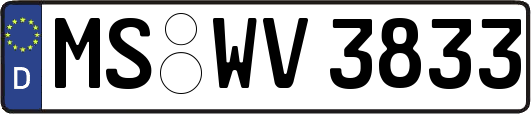 MS-WV3833