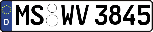 MS-WV3845