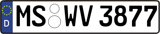 MS-WV3877