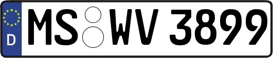 MS-WV3899