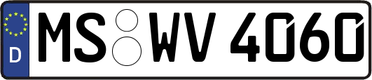 MS-WV4060
