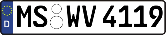 MS-WV4119