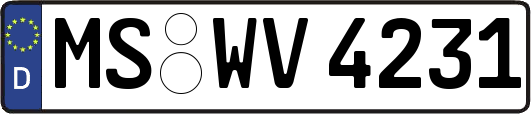 MS-WV4231