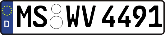 MS-WV4491