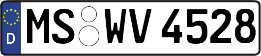 MS-WV4528