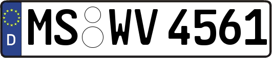 MS-WV4561
