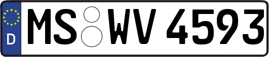 MS-WV4593