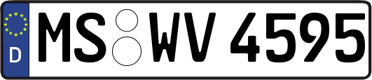 MS-WV4595
