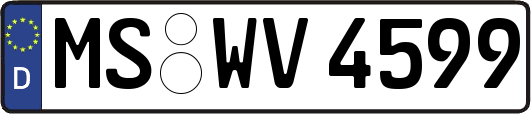 MS-WV4599