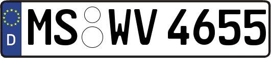 MS-WV4655