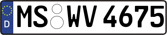MS-WV4675