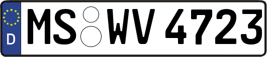 MS-WV4723