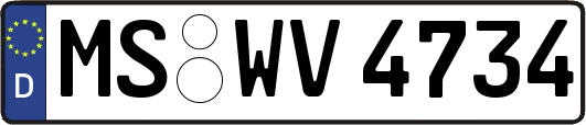 MS-WV4734