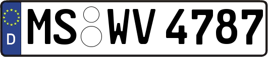 MS-WV4787