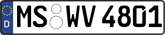 MS-WV4801