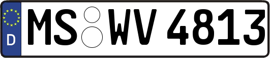 MS-WV4813