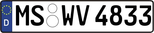 MS-WV4833