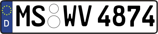 MS-WV4874