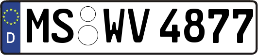 MS-WV4877