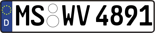 MS-WV4891
