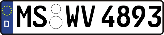 MS-WV4893