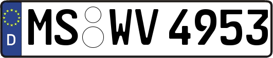 MS-WV4953