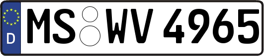 MS-WV4965