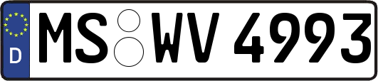 MS-WV4993