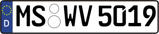 MS-WV5019