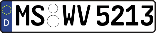 MS-WV5213