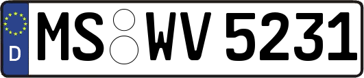 MS-WV5231