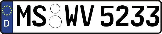 MS-WV5233
