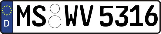 MS-WV5316