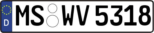 MS-WV5318