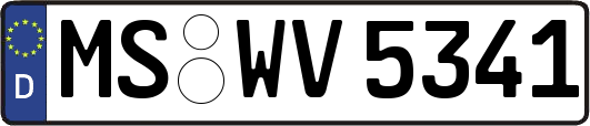 MS-WV5341
