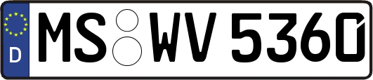 MS-WV5360