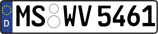 MS-WV5461